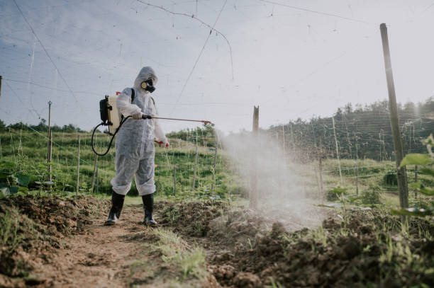 Best Pest Removal Services  in Keuka Park, NY