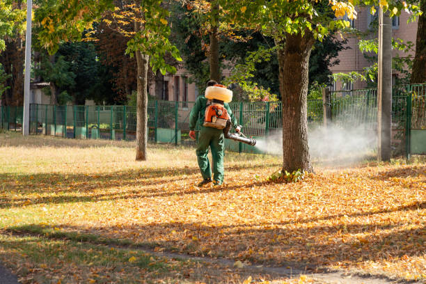 Best Termite Control Services  in Keuka Park, NY