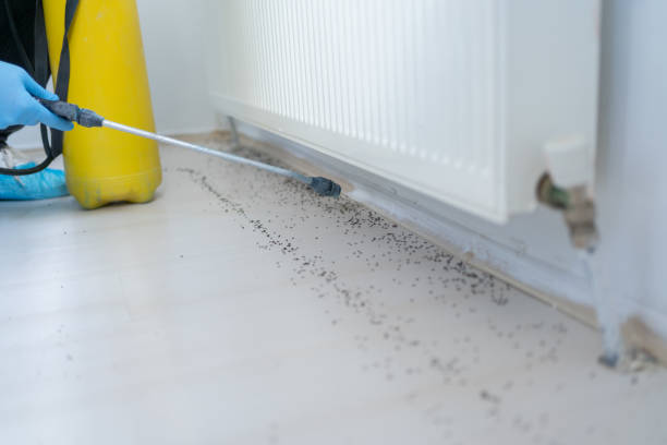 Pest Prevention Services in Keuka Park, NY