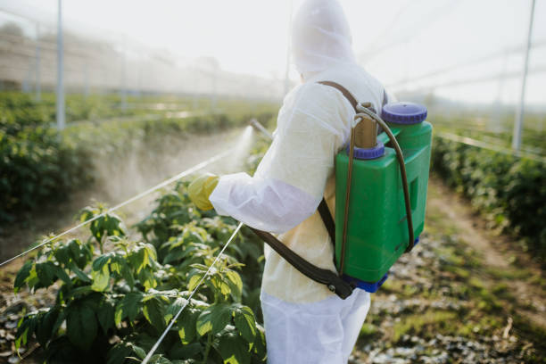 Best Affordable Pest Control Services  in Keuka Park, NY
